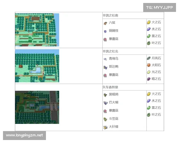 口袋妖怪黑白金手指下载攻略及破解技巧全解析 口袋妖怪黑白金手指下载攻略及破解技巧全解析