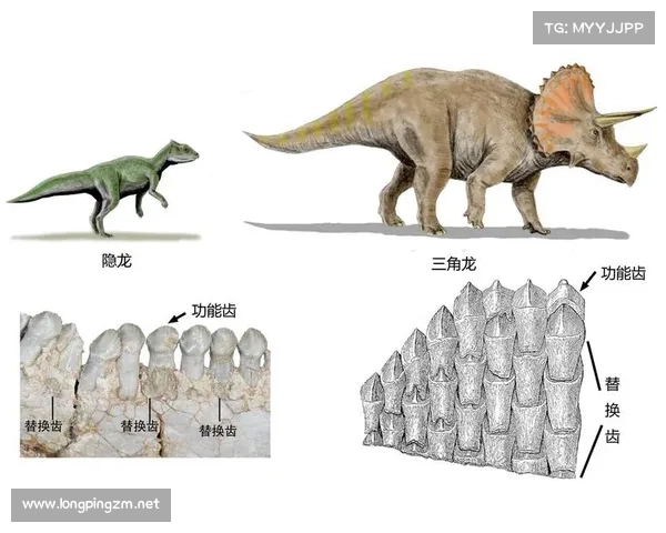 揭秘古生物学研究中的传统方法及其现代应用与挑战 揭秘古生物学研究中的传统方法及其现代应用与挑战