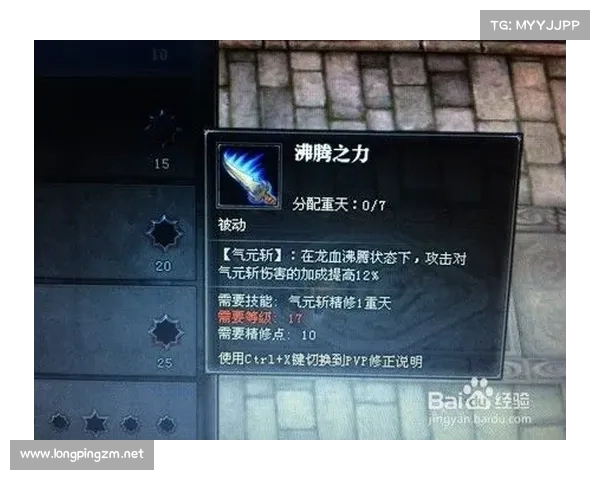 斗战神龙女刺客技巧与战力提升全攻略全面解析